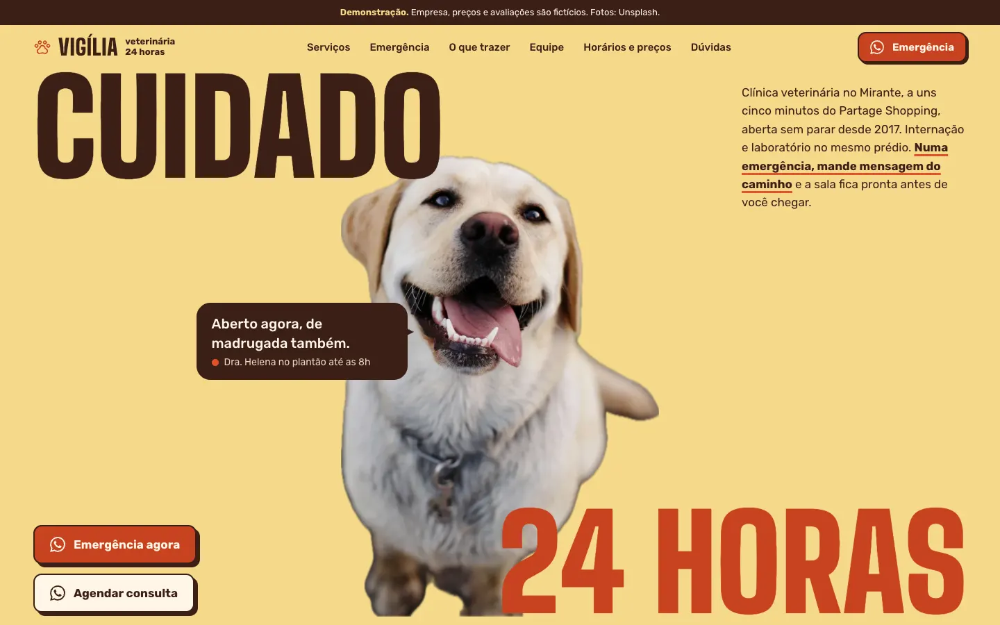Tela do site de demonstração da Vigília Veterinária 24 horas